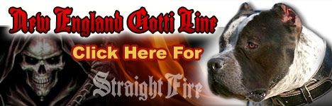 Gottiline Line Bully Pitbull Breeder, Stud Service and Puppies