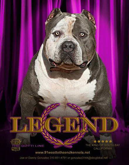 Legend Super Bull 3 - 2006 (MAXIMUS and TRINITY Sire)